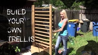 How to make a trellis for cucumbers- I will walk you through the building of my trellis. I will take you step by step on how I transformed 