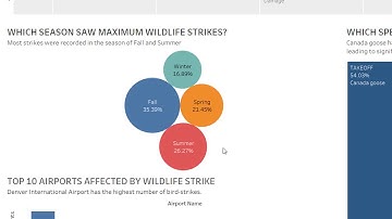 Airplane Wildlife strike