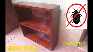 ¿Qué mata los insectos de los muebles?