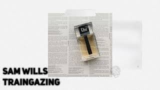 Sam Wills - Traingazing