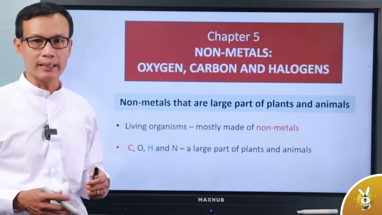 Waso Learn-Chapter-5 Non-Metals