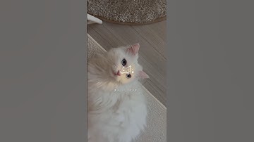استخدموا الصوت 😴🥰😍 #اكسبلور #تلاوة_خاشعة