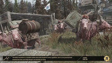 Fallout 76: Resetting item spawns. The 255 rule for players and server explained.
