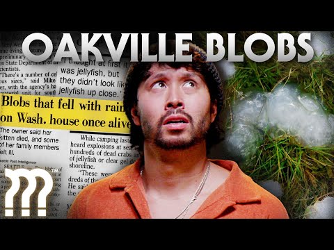 The Venomous Dolly Leak: A Complete Investigation