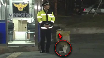A Cat Ran Up to a Policeman and Asked Him for Help the Man Went After Her