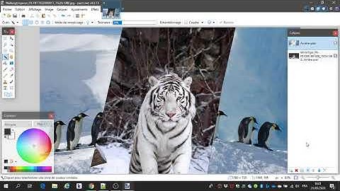 Paint.Net - Montage de plusieurs photos en diagonale