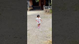 IMG 0645~video