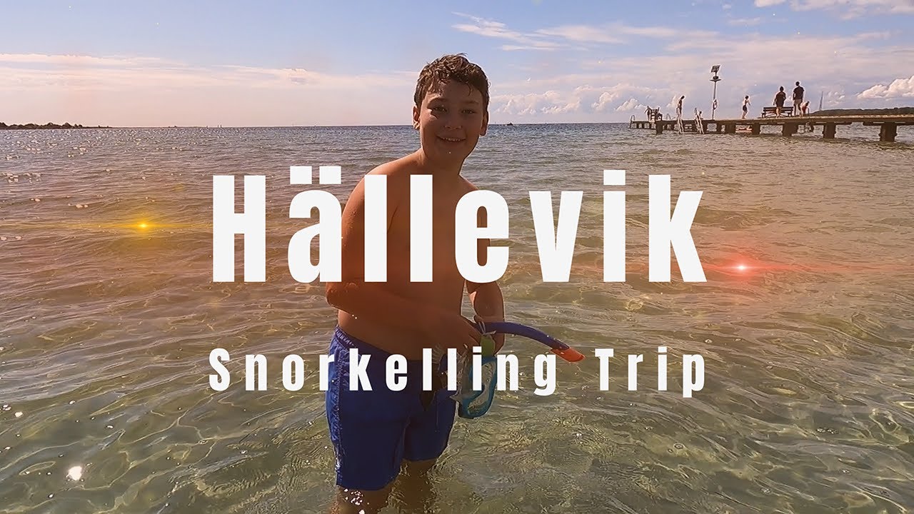 Hällevik snorkelling trip