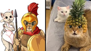 Warrior Cats Meme 😁 Best Funny Animal Videos 2024 | Cat Memes by Cat Memes 24,657 views 1 month ago 8 minutes, 28 seconds