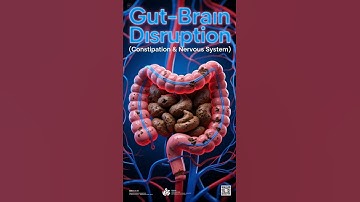 The Shocking Connection Between Your Gut and Brain | 3D Animation of the Gut-Brain Axis”