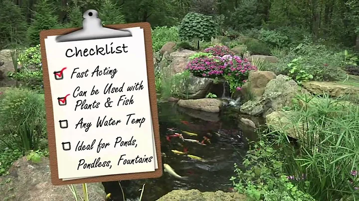 Eliminate Algae in Your Pond with Aquascape EcoBlast™ Granular Algaecide - Pond Water Treatments