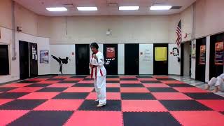 Ashely Pre Black Belt Test