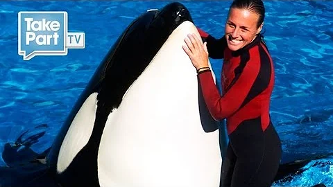 Death at SeaWorld Eyewitness Interview with Jessic...