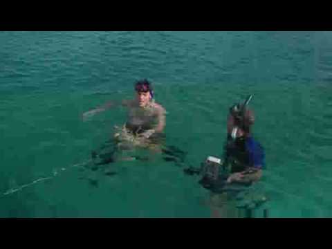 Spear Fishing