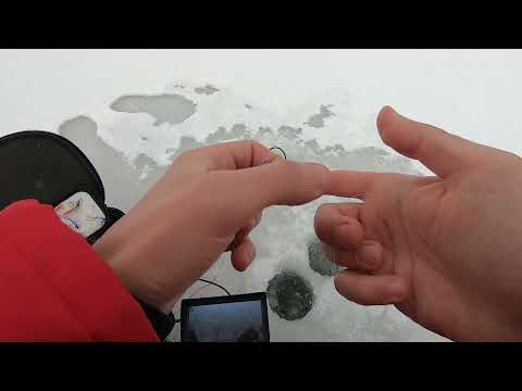 Как играют бюджетные