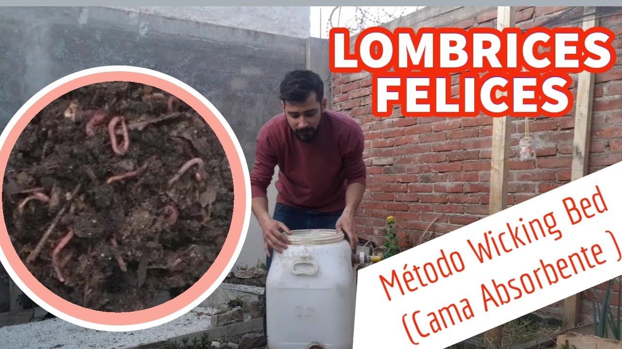 SUPER LOMBRICOMPOSTERA Método Wicking bed. HUMEDAD PERFECTA.