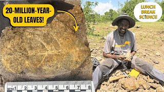 Unraveling Miocene Primate Ecosystems One Leaf at a Time ft. Venanzio Munyaka