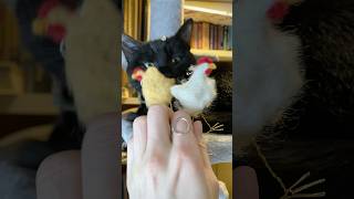 Fixing chicken earrings that got stolen by a cat 😬 #needlefelting #chicken #cat #earrings