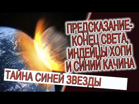 Video: Качина куурчактары ийгиликке жетеби?