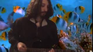 good morning - cab deg (cover)