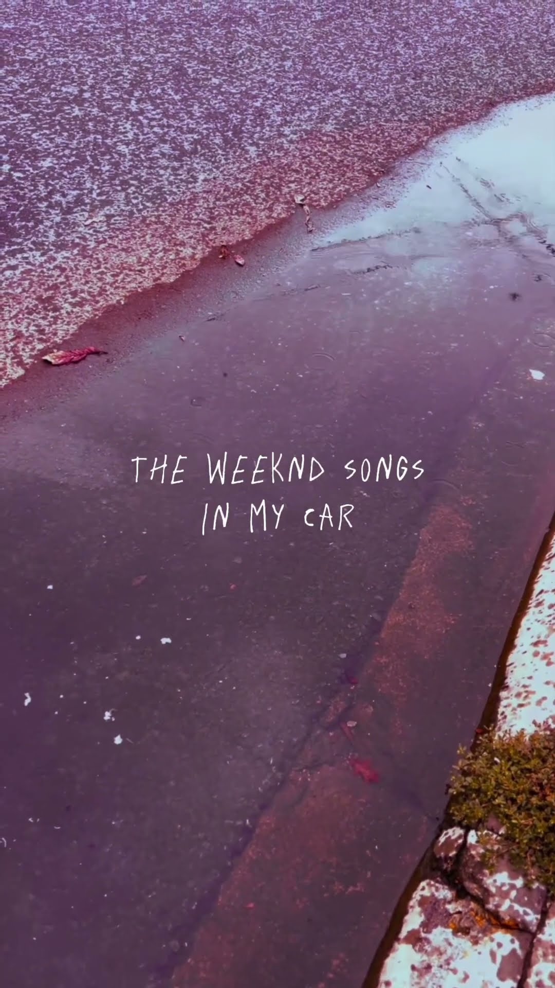 ? #dreampop