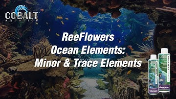 ReeFlowers Ocean Elements-   Minor & Trace Elements