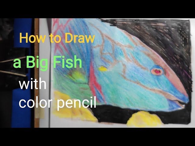 Aggregate more than 116 big fish drawing best