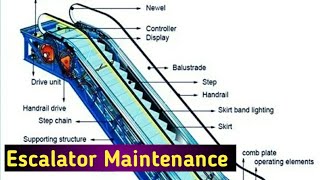 Escalator Maintenance Inox