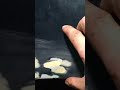 Покраска пластиковых порогов кисточкой