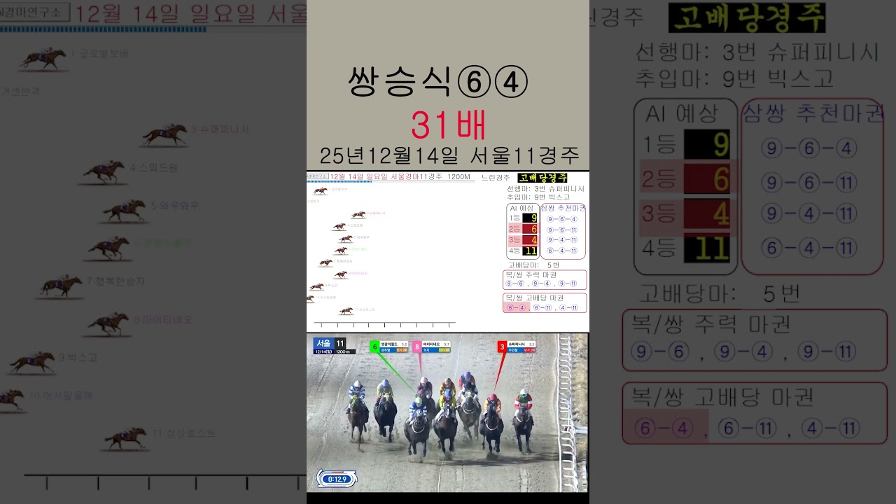 쌍승식 31배 적중 12월14일 서울11경주
