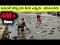 Top 5 Amazing and strange rains | Bmc facts | Telugu