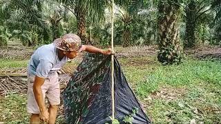 Tenda Perseorangan Tni  Tenda Kdaning Super Praktis 