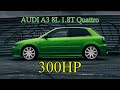 Evija un viņas AUDI A3 8L 1.8T Quattro