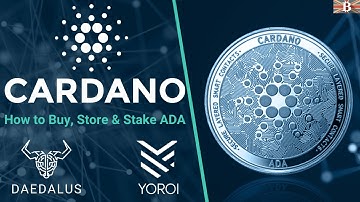 Beginners Guide to Cardano: How to Buy, Store & Stake ADA Token