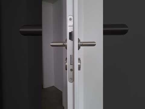 Abus Türklinke ausbauen