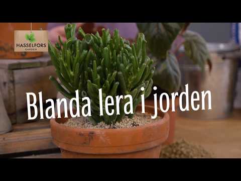 Video: Användningen Av Expanderad Lera I Landet: Hur Man Använder För Växter I Trädgårdsarbete? Vad Mer är Expanderad Lera För? Använd I Trädgården