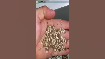 Destoner : Revolutionizing Seed Cleaning for Maximum Purity