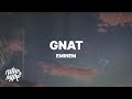 Eminem - Gnat (Lyrics)