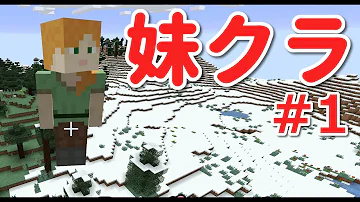ほぅ マイクラ