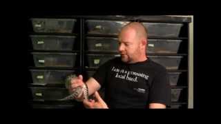 Sumatran Short Tail Python a.k.a. Black Blood Python