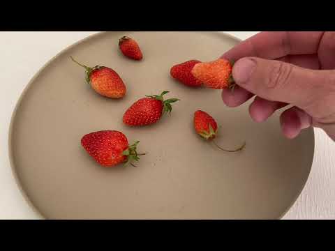 Video: Vil jordbær modnes efter plukning?