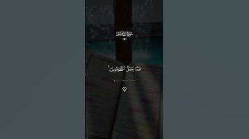 #المصحف #اكسبلور #القزابري #قرآن #لايك #quran #تيك_توك #دويتو #تلاوات #ترند