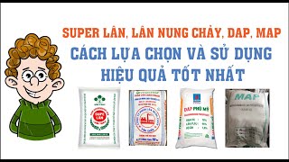 Nông dân cần biết-Hiểu về Super Lân, Lân Nung Chảy, DAP, MAP cách phân biệt và cách sử dụng hiệu quả