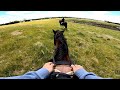 Horse riding vlog  melbourne