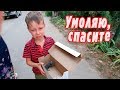 VLOG: Спасение новорожденного котенка / Что с ним стало