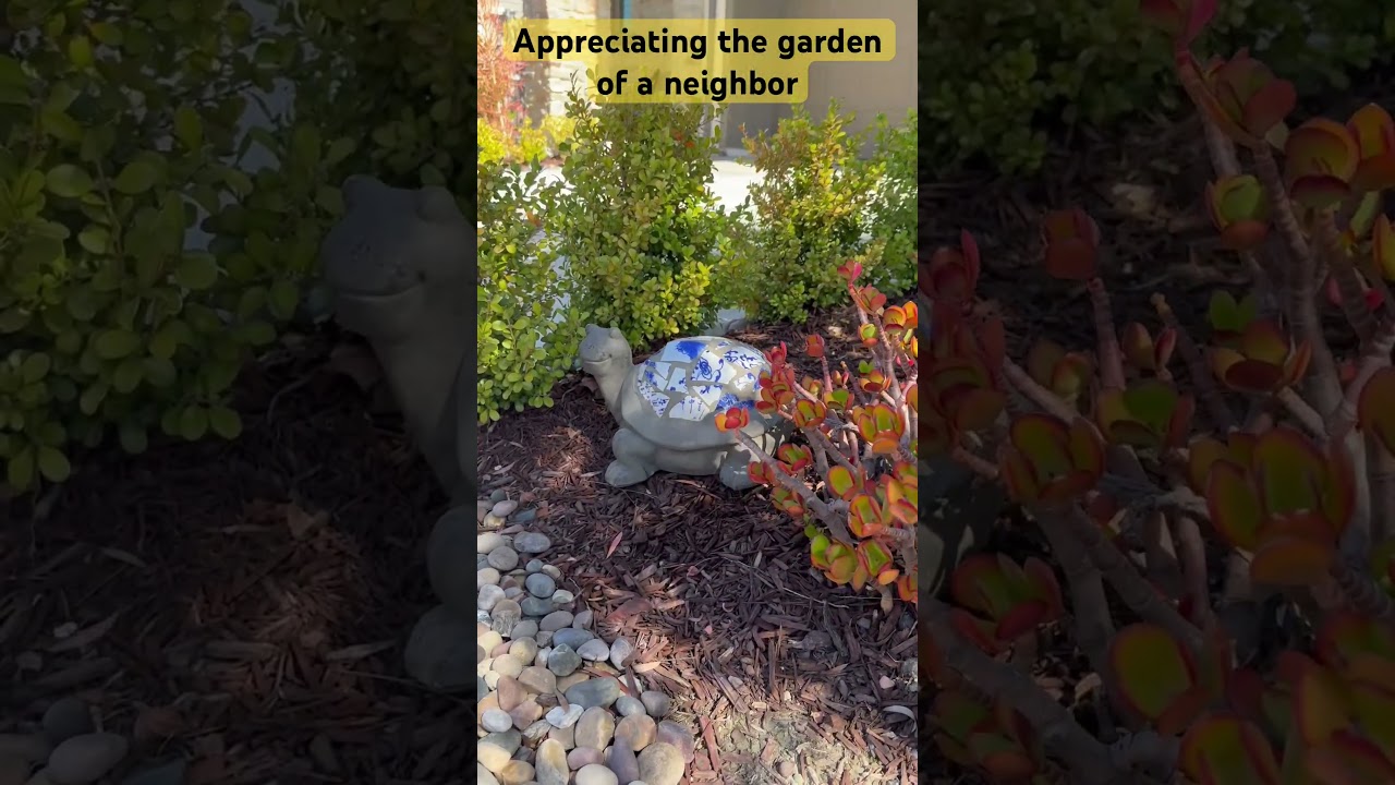 Appreciating the garden of a Neighbor. 