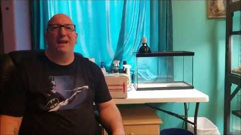 Ball Python Unboxing - New project!