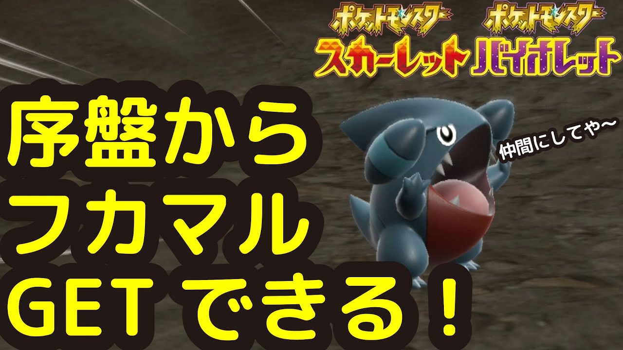 ポケモン フカマル】ポケモンセンターオリジナル マスコット TAIKI