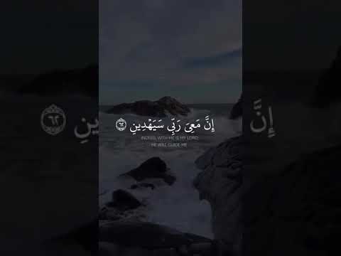 قال كلا ان معي ربي سيهدين سورة الشعراء القارئ محمد شراب 