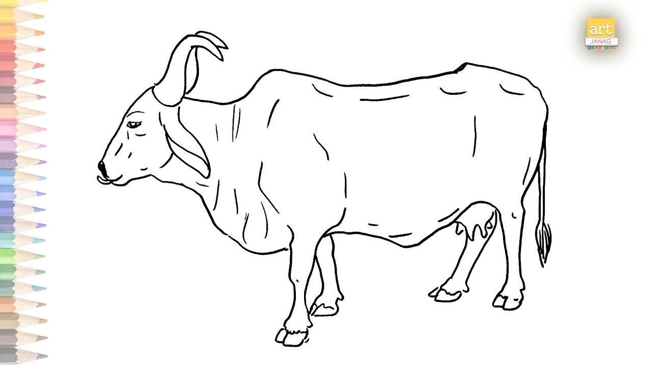 Indian Holy Cow drawing easy | How to draw Holy Cow drawing step ...